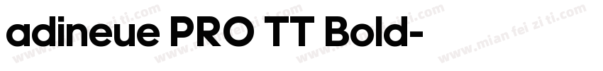 adineue PRO TT Bold字体转换